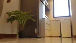 Bella Casita (D15), Apartment #149578202